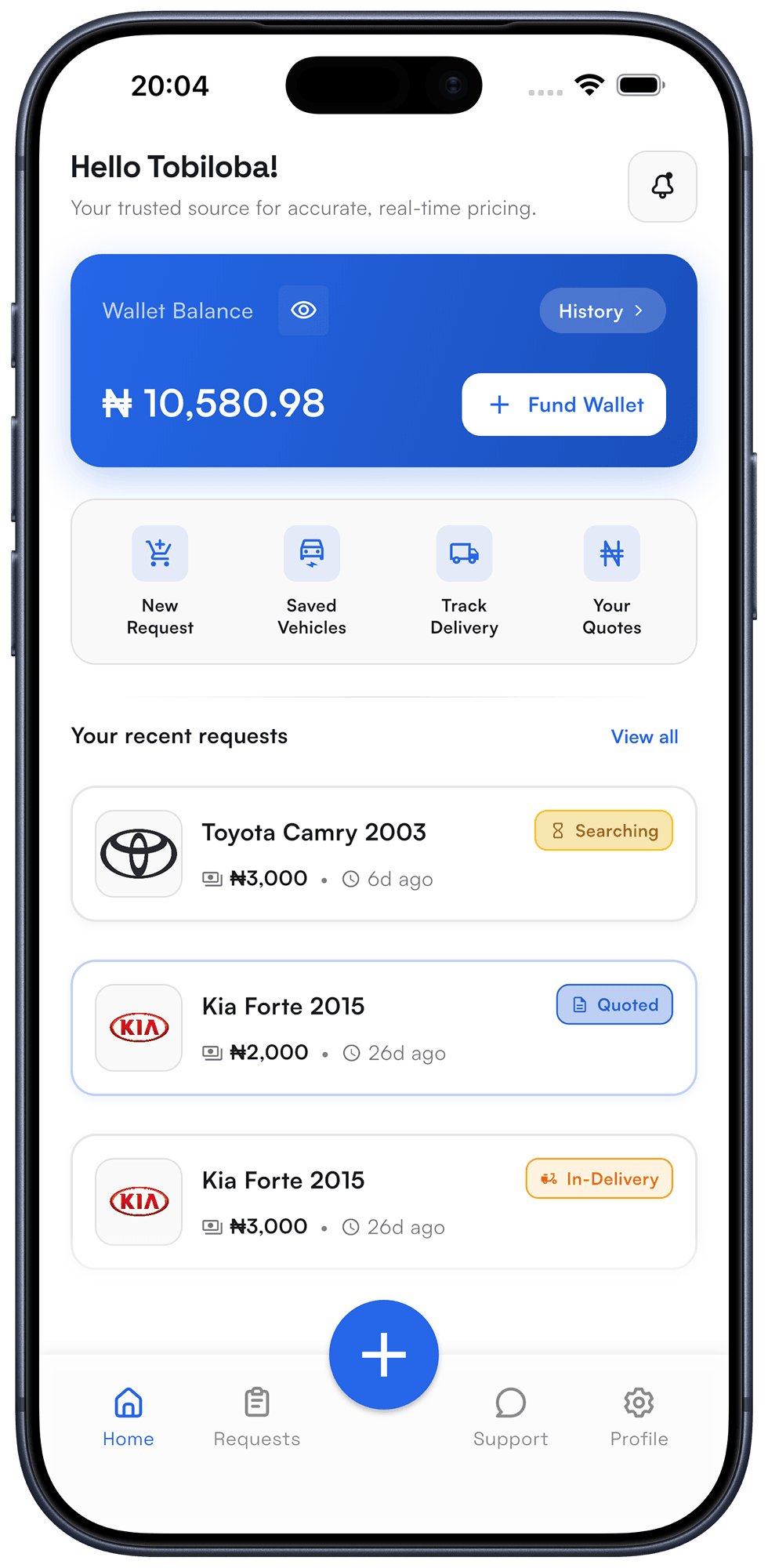 Oga Joe App Interface